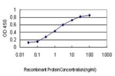 ELISA: Nrf1 Antibody (2F9) [H00004899-M01]
