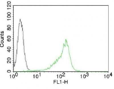 Flow Cytometry: Nucleoli Marker Antibody (NM95) - Azide and BSA Free [NBP2-34695]