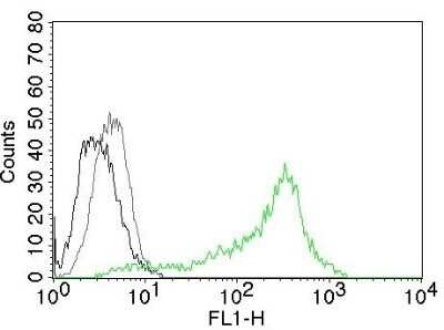 Flow Cytometry: Nucleolin Antibody (364-5) - Azide and BSA Free [NBP2-47861]