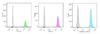 Flow Cytometry: Nucleolin Antibody (NCL/902) - Azide and BSA Free [NBP2-47860]