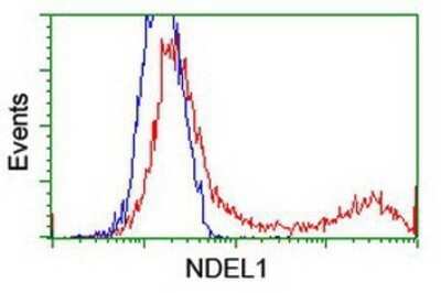 Flow Cytometry: Nudel Antibody (OTI5E11) - Azide and BSA Free [NBP2-73104]