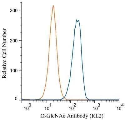 Flow Cytometry: O-GlcNAc Antibody (RL2) - BSA Free [NB300-524]