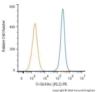 Flow Cytometry: O-GlcNAc Antibody (RL2) - BSA Free [NB300-524]