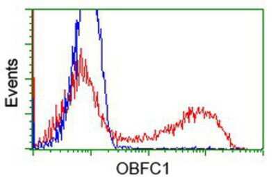 Flow Cytometry: OBFC1 Antibody (OTI2E4) [NBP2-01006]