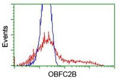 Flow Cytometry: OBFC2B Antibody (OTI1E11) - Azide and BSA Free [NBP2-73140]