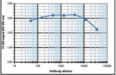 ELISA: OCT4 Antibody [NBP2-59164]