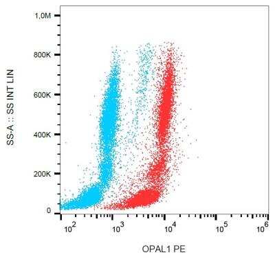Flow Cytometry: OPAL1 Antibody (OPAL1-01) [NBP2-62210]