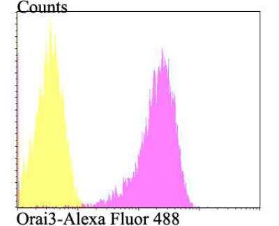 Flow Cytometry: ORAI3 Antibody [NBP2-76956]