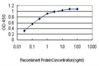 ELISA: ORP150/HSP12A Antibody (6F7) [H00010525-M01]