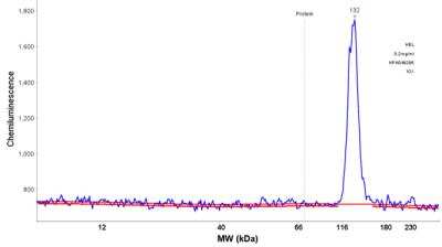 Simple Western: ORP150/HSP12A Antibody [NBP2-14113]
