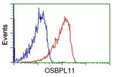Flow Cytometry: OSBPL11 Antibody (OTI6A6) [NBP2-03327]