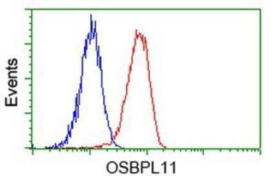 Flow Cytometry: OSBPL11 Antibody (OTI6A6) - Azide and BSA Free [NBP2-73160]