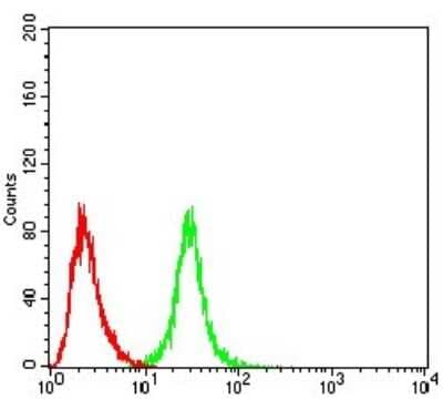 Flow Cytometry: OTUD4 Antibody (3B12G11) - BSA Free [NBP2-52525]