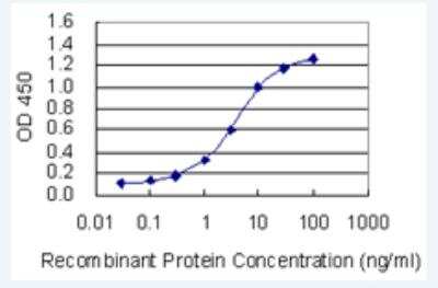 ELISA: OTUD6B Antibody (3H4) [H00051633-M04-100ug]