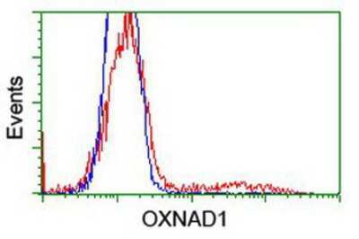 Flow Cytometry: OXNAD1 Antibody (OTI1D1) [NBP2-00916]