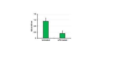 ELISA: Occludin Antibody [NBP1-87402]