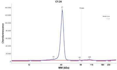 Simple Western: Ornithine Carbamoyltransferase Antibody [NBP1-87408]