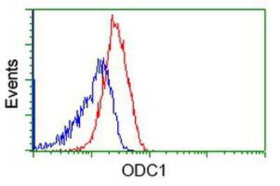 Flow Cytometry: Ornithine Decarboxylase Antibody (OTI1G6) [NBP2-02644]