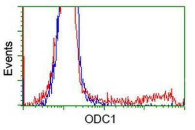 Flow Cytometry: Ornithine Decarboxylase Antibody (OTI1G6) [NBP2-02644]