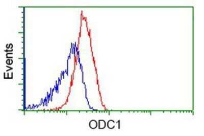 Flow Cytometry: Ornithine Decarboxylase Antibody (OTI1G6) - Azide and BSA Free [NBP2-73150]