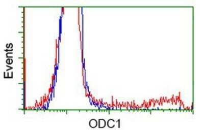 Flow Cytometry: Ornithine Decarboxylase Antibody (OTI1G6) - Azide and BSA Free [NBP2-73150]