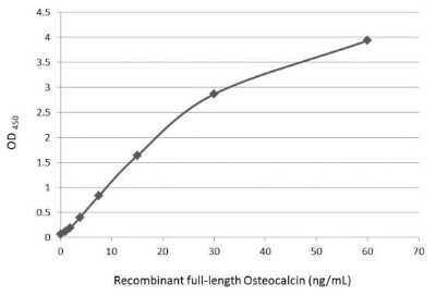 ELISA: Osteocalcin Antibody [NBP3-13133]