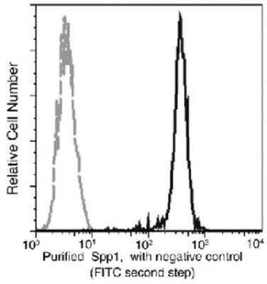 Flow Cytometry: Osteopontin/OPN Antibody (001) [NBP2-89443]