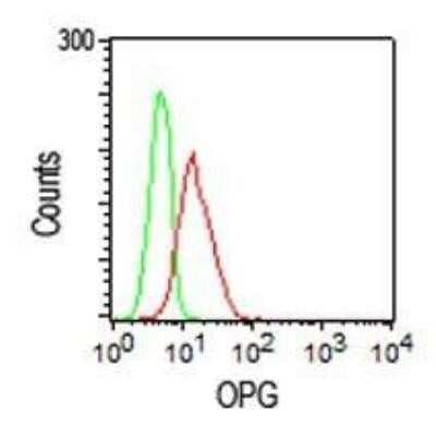 Flow Cytometry: Osteoprotegerin/TNFRSF11B Antibody (98A1071) - Azide Free [NBP2-33211]