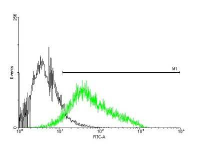 Flow Cytometry: P2X4 Antibody [H00005025-B01P]