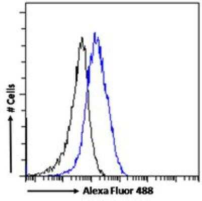 Flow Cytometry: P2X4 Antibody [NBP1-00141]