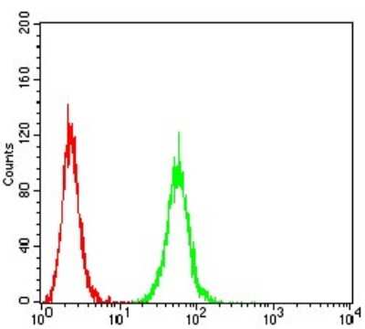 Flow Cytometry: P2X7/P2RX7 Antibody (7G1D6) - BSA Free [NBP2-61748]