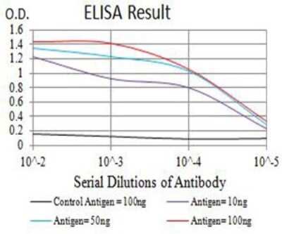 ELISA: P2Y1/P2RY1 Antibody (4G5B7) - BSA Free [NBP2-61671]