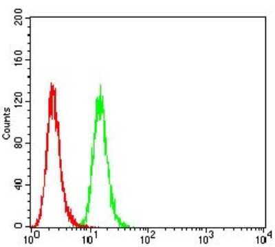 Flow Cytometry: P2Y1/P2RY1 Antibody (4G5B7) - BSA Free [NBP2-61671]