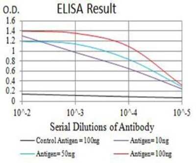 ELISA: P2Y1/P2RY1 Antibody (4G5D6) - BSA Free [NBP2-61664]