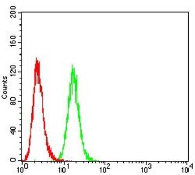 Flow Cytometry: P2Y1/P2RY1 Antibody (4G5D6) - BSA Free [NBP2-61664]