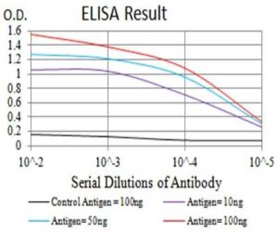 ELISA: P2Y14/GPR105 Antibody (5A3F1) - BSA Free [NBP2-61753]