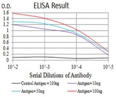 ELISA: P2Y14/GPR105 Antibody (8A11B11) - BSA Free [NBP2-61754]