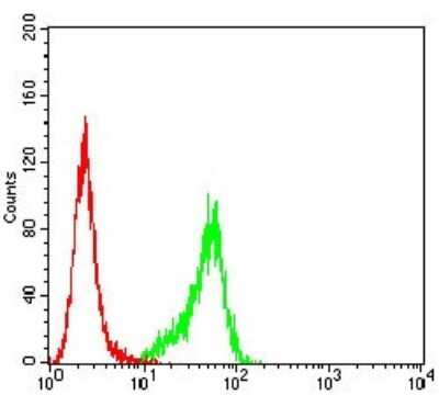 Flow Cytometry: P2Y14/GPR105 Antibody (8A11B11) - BSA Free [NBP2-61754]