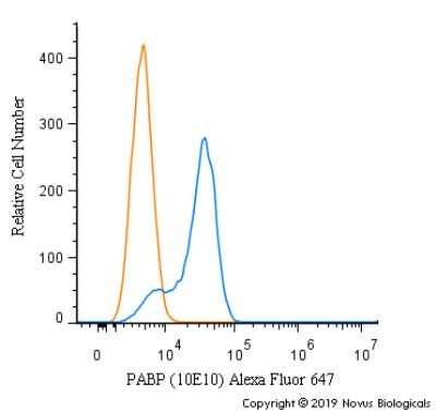 Flow Cytometry: PABP Antibody (10E10) - Azide and BSA Free [NBP2-80901]
