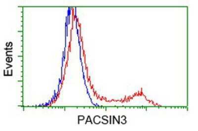 Flow Cytometry: PACSIN3 Antibody (OTI4F8) [NBP2-03475]