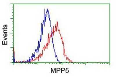 Flow Cytometry: PALS1/MPP5 Antibody (OTI2D3) - Azide and BSA Free [NBP2-73234]