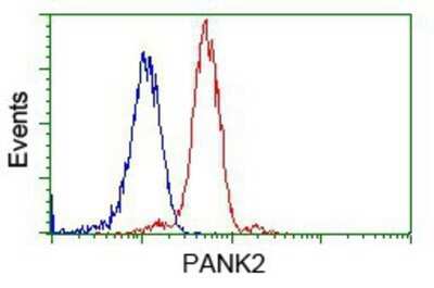 Flow Cytometry: PANK2 Antibody (OTI3H9) - Azide and BSA Free [NBP2-73241]