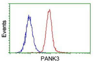 Flow Cytometry: PANK3 Antibody (OTI3C4) [NBP2-03298]
