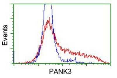 Flow Cytometry: PANK3 Antibody (OTI3C4) - Azide and BSA Free [NBP2-73244]