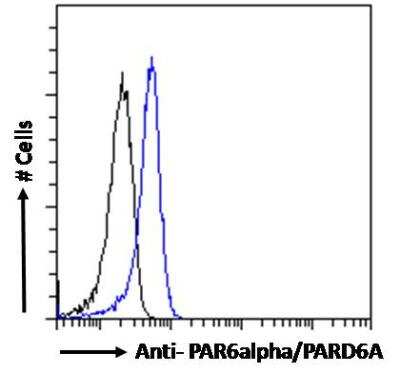 Flow Cytometry: PARD6A Antibody [NB300-953]