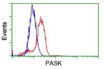 Flow Cytometry: PASK Antibody (OTI8G9) [NBP2-02242]