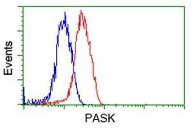 Flow Cytometry: PASK Antibody (OTI8G9) - Azide and BSA Free [NBP2-73249]