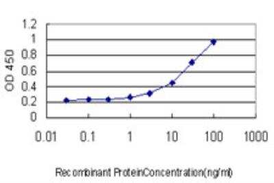 ELISA: PBK Antibody (3A11) [H00055872-M11]