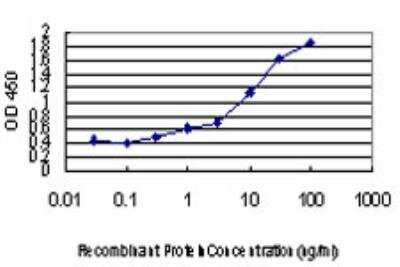 ELISA: PBK Antibody (3F7) [H00055872-M04]
