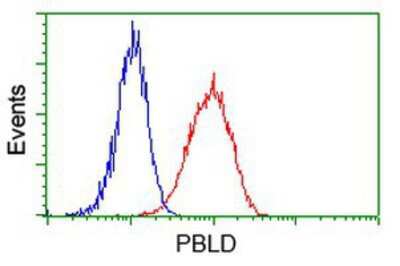 Flow Cytometry: PBLD Antibody (OTI7G5) [NBP2-03265]